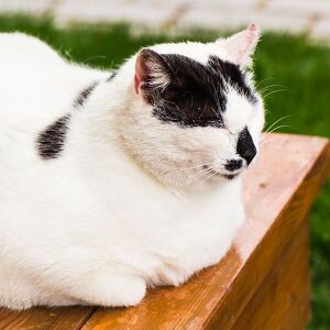 Fundraising Page: Valerie Trinh